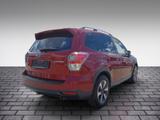 Subaru Forester 2.0 Exclusive KLIMA SHZ KAMERA LED - Subaru Forester Gebrauchtwagen