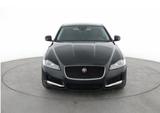 Jaguar XF 30d 300PS Portfolio Automatik Portfolio - Jaguar: X300