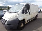 Fiat Ducato Kasten 28 115 - Fiat Ducato mit Diesel-Antrieb: Kombi