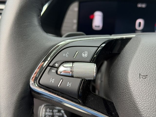 Octavia 2.0 TDI DPF Selection Plus DSG