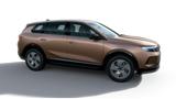 Opel Grandland Electric Edition 73 kWh Batterie - Opel Grandland (X) Electric-Edition