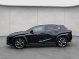 Lexus UX 250h F-Sport Design - Lexus UX: F Sport Design