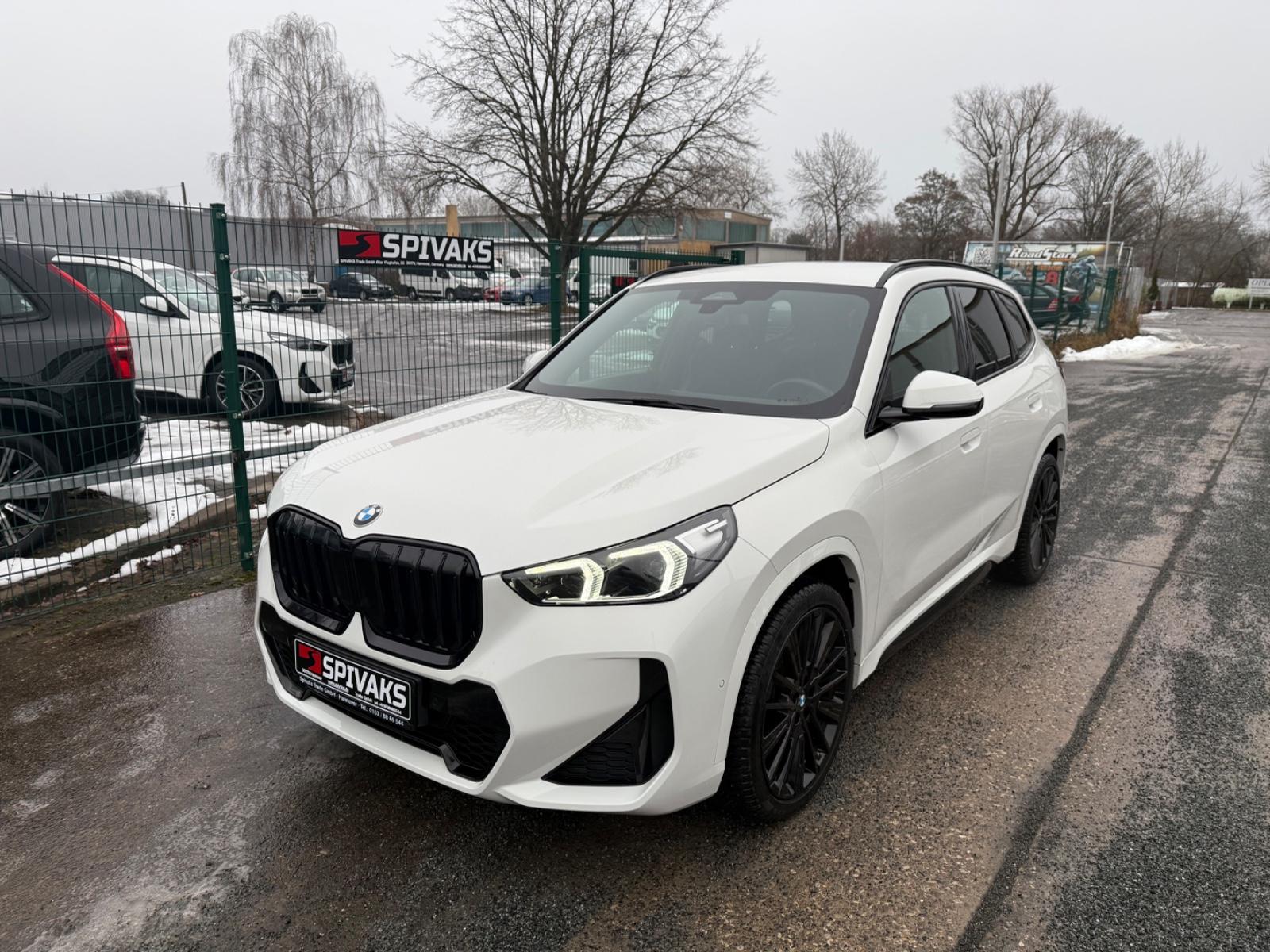 BMW X1 18 i sDrive M Sport Memory AHK Kamera LED