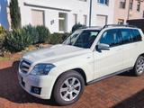 Mercedes-Benz GLK 220 CDI 4MATIC BlueEFFICIENCY - - Mercedes-Benz GLK 220: Von Privat