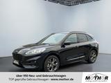 Ford Kuga ST-Line 2.0 EcoBlue Automatik ACC - Ford Kuga Jahreswagen mit Diesel-Antrieb