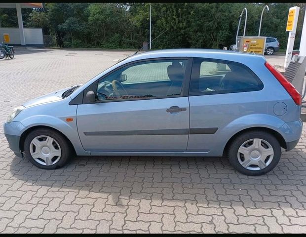 Ford Fiesta 2006 abzugen