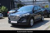 Hyundai Tucson 1.6 Edition 2WD*PANO*LEDER*NAVI*RFK*TOP! - Hyundai TUCSON Gebrauchtwagen in Bochum