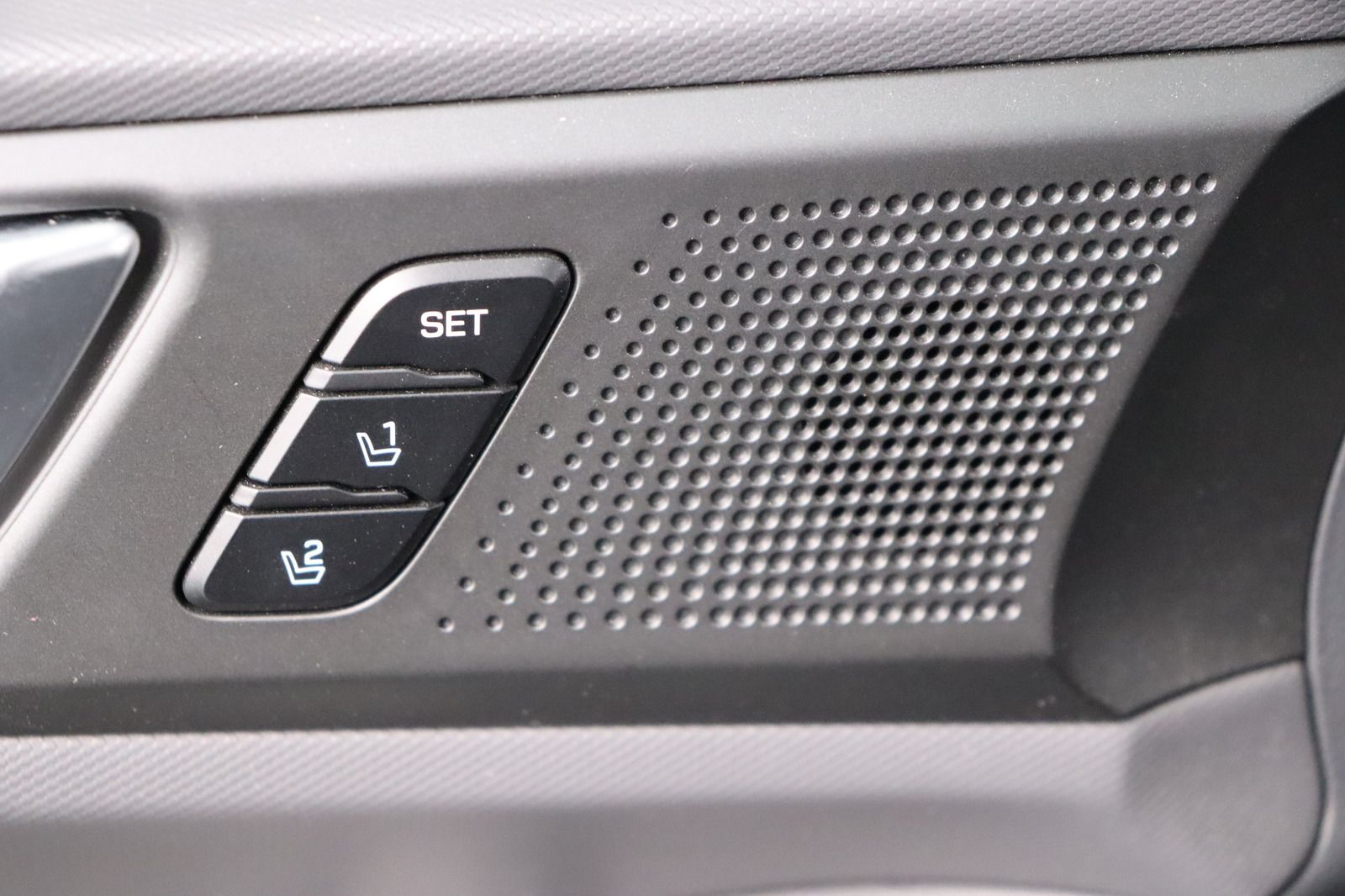 Fahrzeugabbildung Hyundai IONIQ * Memory * Sitzhzg./-lüftung Premium Plug-