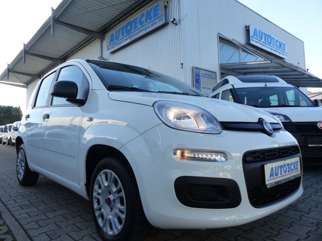 Fiat Panda1.2 KLIMA/1.Hand/TÜV NEU!!