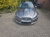 Jaguar XF 3.0 L V6 Diesel - - Jaguar in Braunschweig