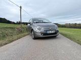 Fiat Ellenator - Fiat 500 - Fahren ab 16 - Appl... - Fiat 500 Ellenator Gebrauchtwagen