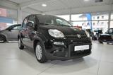 Fiat Panda Pandina-5-Sitzer-