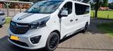 Opel Vivaro L2H1 Camperumbau Wohnmobil Kastenwagen  - Opel Wohnmobil oder -wagen Vivaro