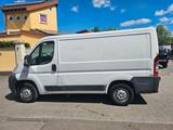 Fiat Ducato Kasten 28 100 - Fiat Ducato in Bonn