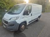 Fiat Ducato Kasten 30 115 L1H1 RS: 3000 mm - Fiat Ducato Gebrauchtwagen in Köln