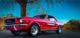 Ford Mustang 65 Oldtimer, Edelbrock guter... - Ford Mustang: Old