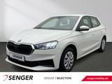 Skoda Fabia Active 1.0 MPI Winter-Paket Smart Link LED