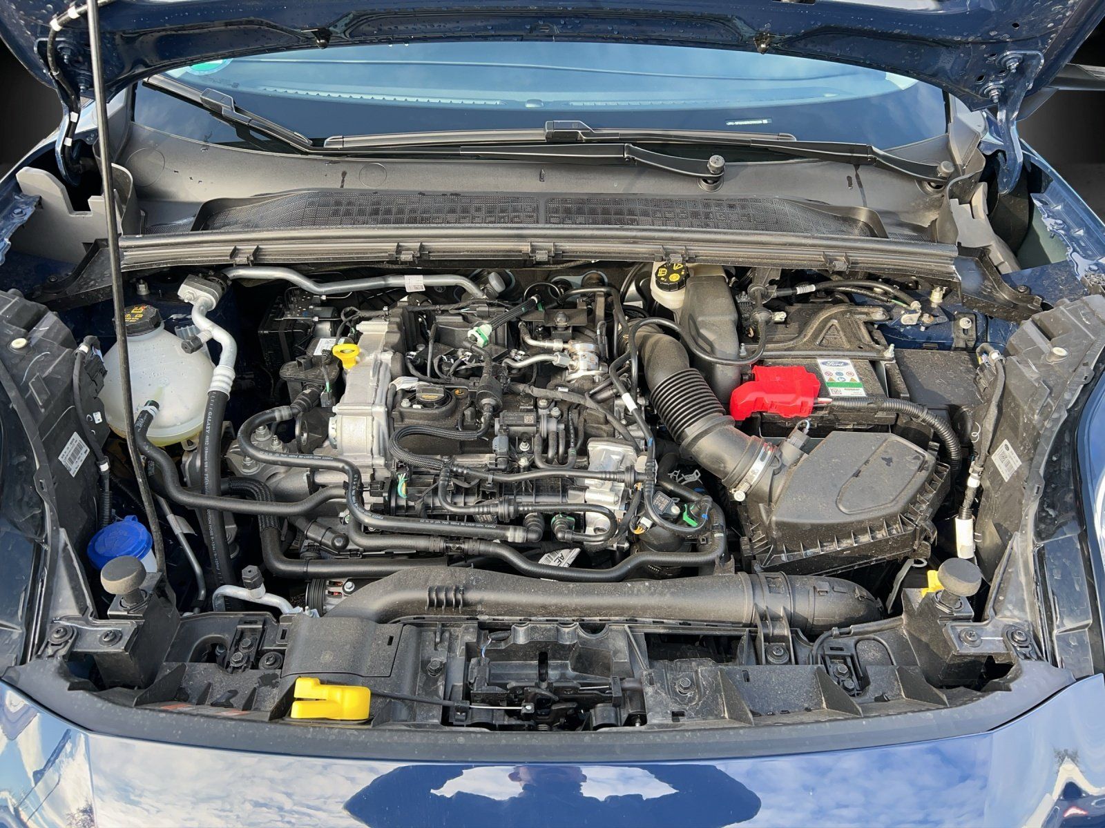 Fahrzeugabbildung Ford Puma Titanium MHEV Navi Winter Paket GJR Klima