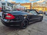 Mercedes-Benz CLK 350 Cabrio AMG*Leder-Navi-Xenon-Harmann Kard - Mercedes-Benz CLK 350