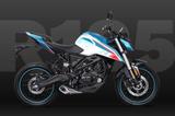 VOGE R125-Winterspecial! - VOGE R125