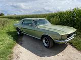 Ford Mustang - Ford Gebrauchtwagen von 1967