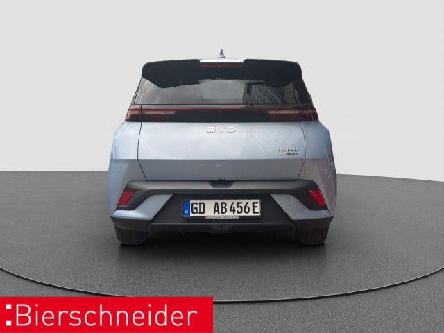 BYD DOLPHIN SURF