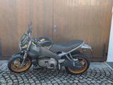 Buell XB 12 SS - Angebote