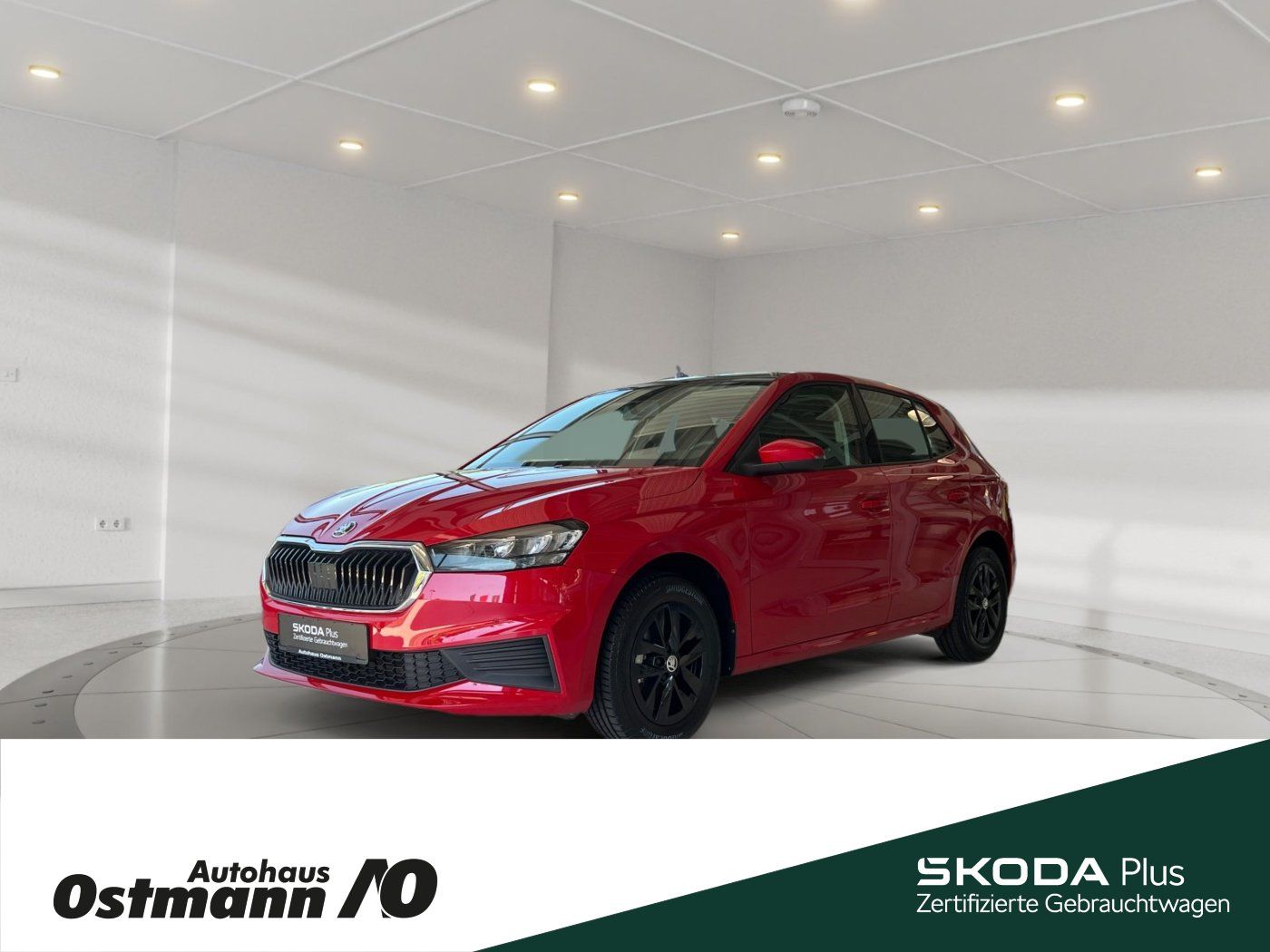 Skoda Fabia Ambition 59kw *Panoramadach*Rückfahrkamera