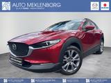 Mazda CX-30 2.0l "Selection" M Hybrid - Mazda CX-30 Selection mit Hybrid-Antrieb (Benzin/Elektro)
