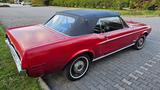 Ford Mustang V8 Cabrio - Ford Mustang Oldtimer: Roadster