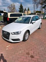Audi A3 TDI s tronic 1.6 2014 Baujahr - Audi A3: 20 TDI