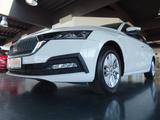 Skoda Octavia Combi Ambition /DSG/Navi/LED/Virtual/AHK