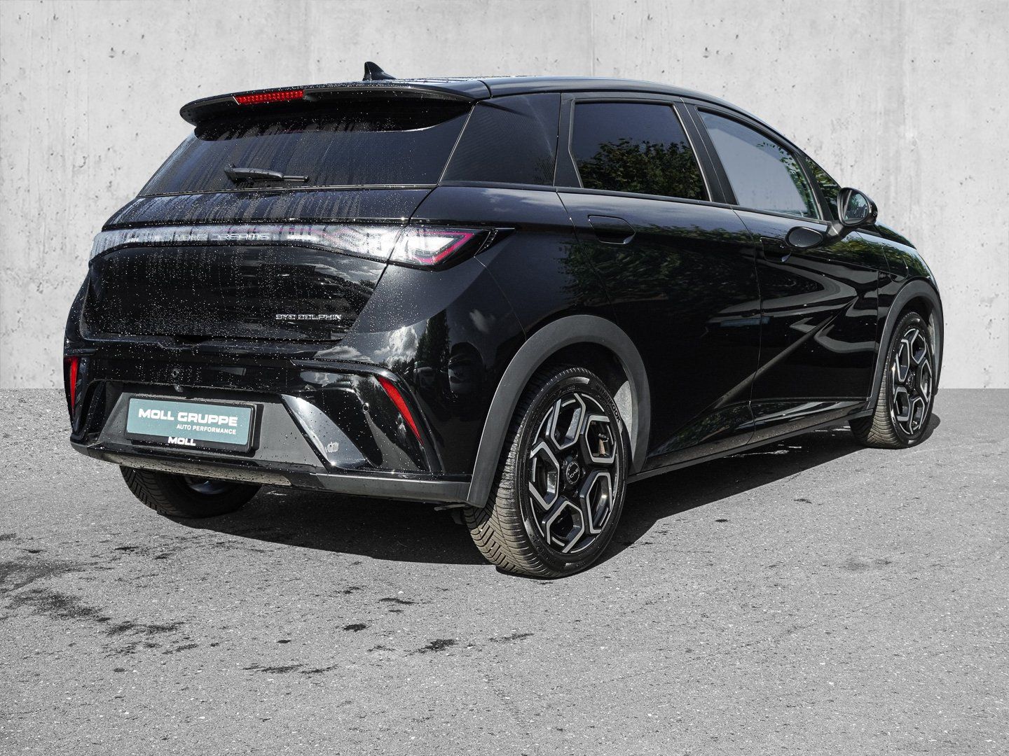BYD DOLPHIN
