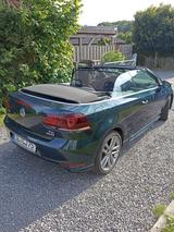 Volkswagen Golf 1.4 TSI DSG BMT LOUNGE Cabriolet UNIKAT - : Grün