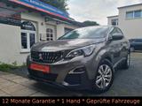 Peugeot 3008 AUT/130 EAT8 Active/AHK/Navi/Sport - Peugeot 3008: Sport