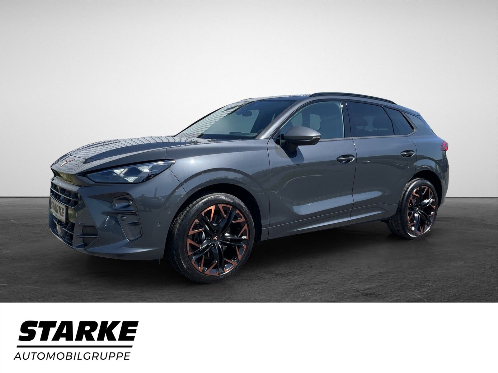 Cupra Terramar 2.0 TSI 4Drive VZ  HeadUp Panodach AHK  imagem 2