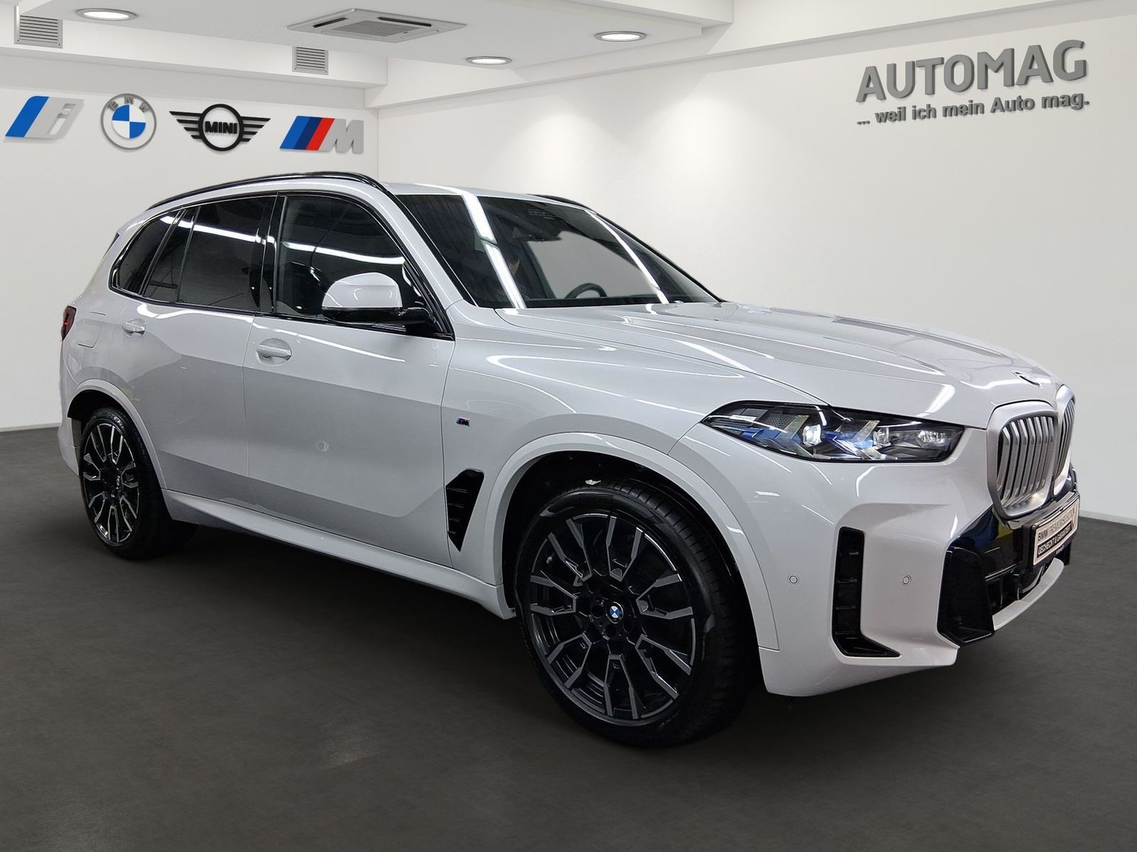 BMW X5 - Bild 2