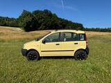 Fiat Panda 1.2 8V Trekking 4X4 ALLRAD orig. 58.400km! - Fiat Panda aus 2005: Allradantrieb