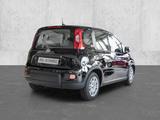 Fiat Panda Mild Hybrid Klima Einparkhilfe DAB Spurhal - Fiat Panda: Schwarz