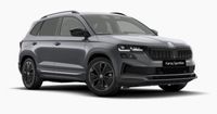 Skoda Karoq - Vorschau Bild 1