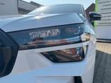 Skoda Kodiaq RS 4X4 ACC DCC MATRIX - Skoda Kodiaq in Krefeld