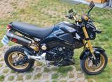 Honda MSX 125 Sonderausführung - HONDA MSX