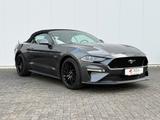 Ford Mustang 5.0VVT-i GT Convertible 55 YEARS DT. FZG - Ford Mustang: Cabrio