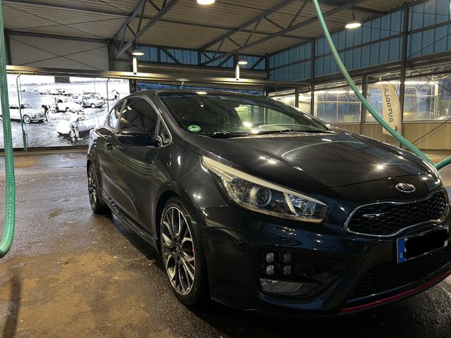 Kia ProCeed GT (JD)