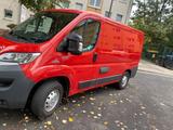 Fiat Ducato Kastenwagen 3,5 t AHK - Fiat Ducato Gebrauchtwagen in Frankfurt