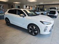 Cupra Terramar - Vorschau Bild 12