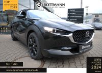 Mazda CX-30 - Vorschau Bild 1