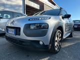 Citroën Citroen C4 Cactus BlueHDi 100 Shine - Citroën C4 Cactus Kombi Gebrauchtwagen