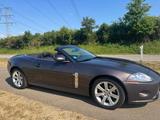 Jaguar XK8 Cabrio 4.2l TOP GEPFLEGT - Jaguar XK8 Gebrauchtwagen