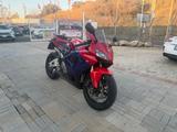 Honda CBR 600 RR - HONDA SCHWARZ CBR 600 RR